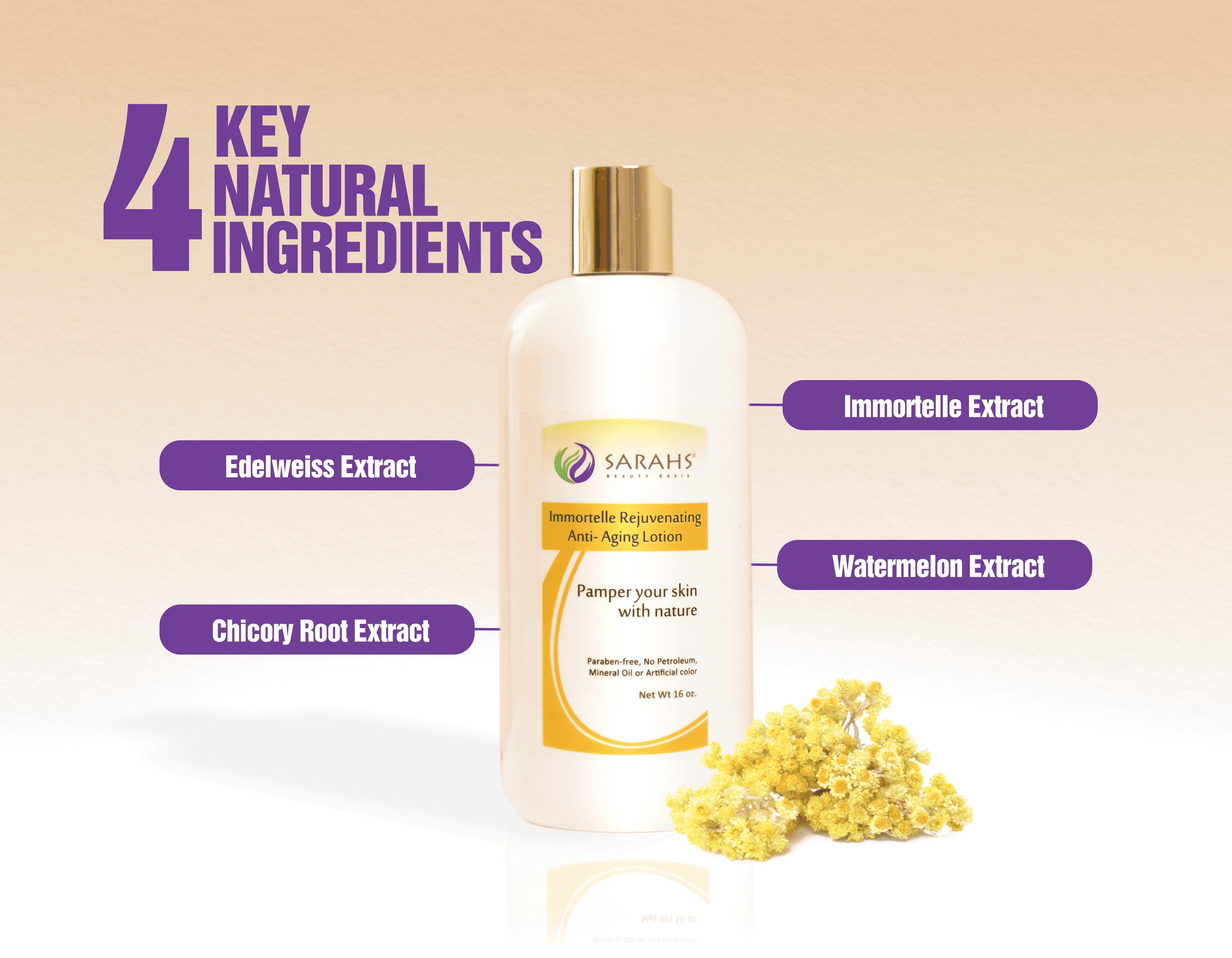Immortelle Rejuvenating Anti-Aging Lotion